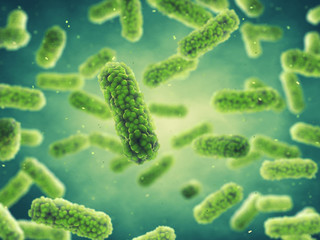 Bacteria , Germ infection and bacterial disease epidemic - obrazy, fototapety, plakaty