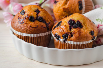 Blueberry muffins on wooden vintage background. Selective focus