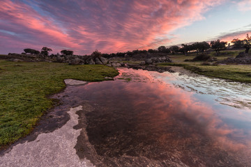 Dawn in a lagoon near Arroyo de la luz. Spain.