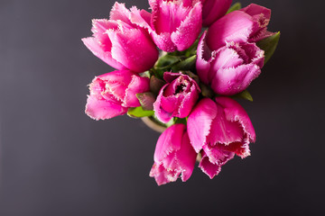 Pink tulips on black background. Pink tulip. Tulips. Flowers. Flower background. Flowers photo concept. Holidays photo concept. Copyspace