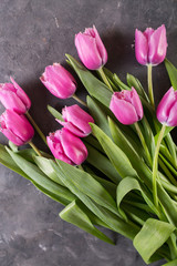 Pink tulips on gray abstract background. Pink tulip. Tulips. Flowers. Flower background.