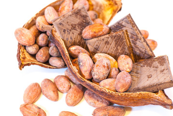 cocoa beans and dark chocolate