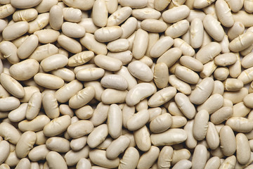 Background of white beans. Horizontal shoot.