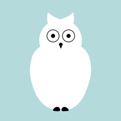 Vector flat Owl illustration animal background.