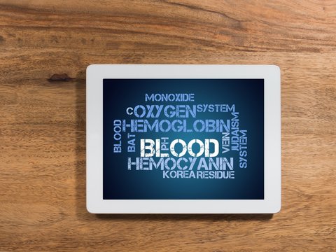 Blood