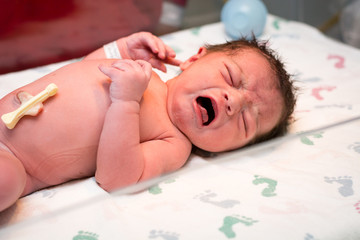 Newborn baby girl moments after being born