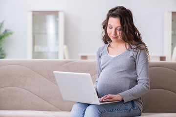 Naklejka premium Pregnant woman working on laptop sitting on sofa