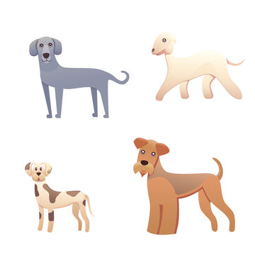 Different type of cartoon dogs. happy dog set vector illustration. © denis08131