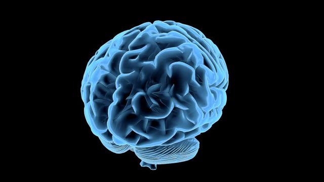 Human brain loop rotation 3d alpha channel