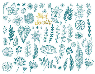 Set of different vector floral design elements - flowers, leafs, brunches, herbs, hearts.