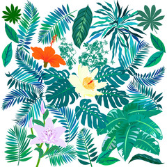 Tropical flowers and plants set