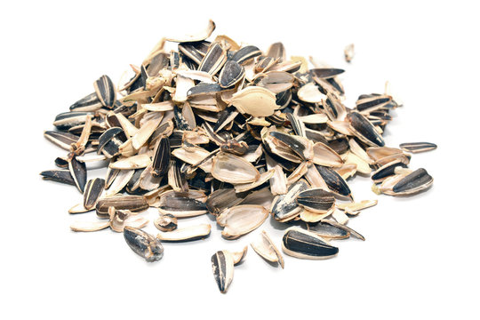 sunflower seeds shells