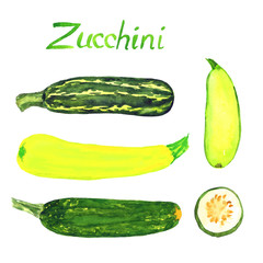 Zucchini variety and slice, isolated hand painted watercolor illustration 