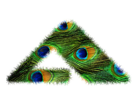 High resolution upper case letter A made of peacock feathers alphabet isolated on white background