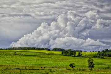 Storm Cloud Pasture 01