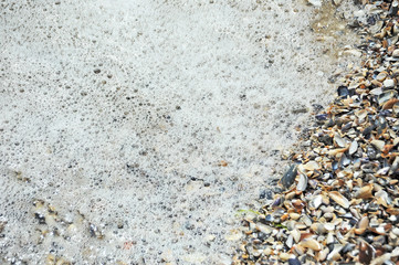 Sea surf and shell