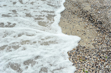Fototapeta premium Sea surf and shell