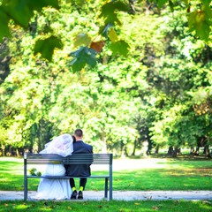 Fototapeta premium Young wedding couple sitting on bench. Bride and groom are enjoying wedding.