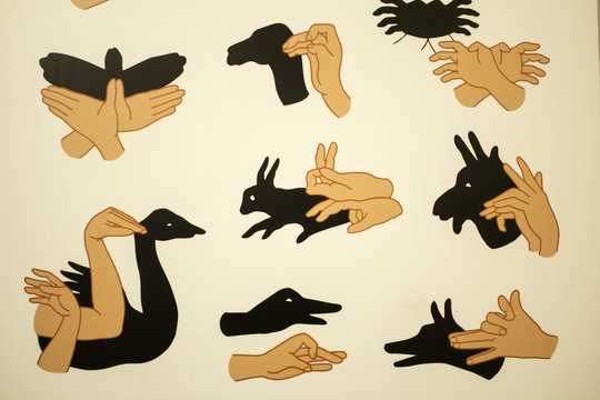 Hand Shadow Puppet Images – Browse 2,057 Stock Photos, Vectors, and Video |  Adobe Stock