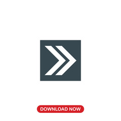 Double right arrow icon vector