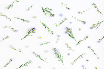 Flowers composition. Pattern made of daisy flowers on white background. Flat lay, top view