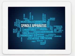 Spindle apparatus