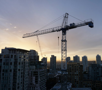 Crane at Dawn