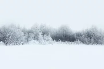 Deurstickers Bomen Prachtig winters boslandschap, bomen bedekt met sneeuw