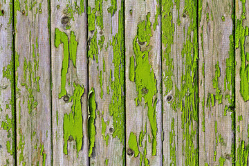 shelled fence green color