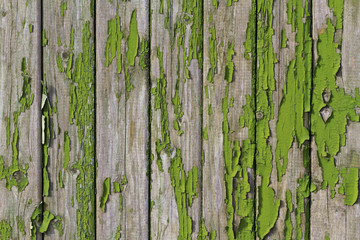 shelled fence with green paint