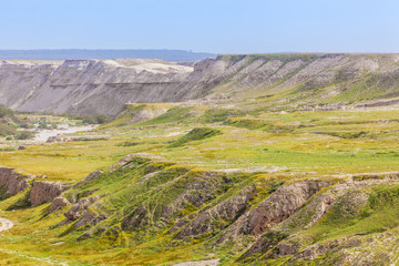 Dry arid desert slopes covered with lush green vegetation at spring time 