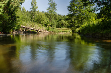 Fototapeta na wymiar River in belarussian forest