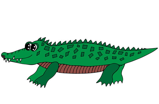 Cute green crocodile isolated on the white background