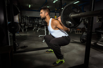 Handsome young man is exercising in the gym lifting weights