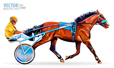 Jockey and horse. Champion. Racing. Hippodrome. Racing steed coming first to finish line. Chariot with horse and rider. Stallion race track. Harness racing at the Hippodrome. Vector illustration