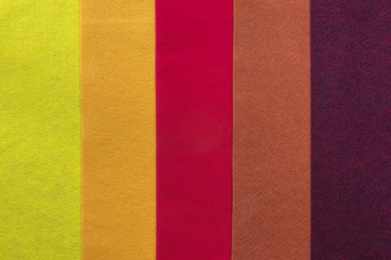 Pieces of colorful felt
