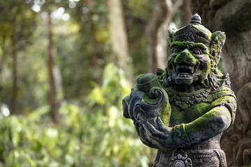 Balinese, Hindu statues in the sacred monkey forest
