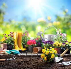 Fotobehang Tuin Tuinieren - Uitrusting voor tuinman met bloempotten