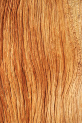 eroded wood grain