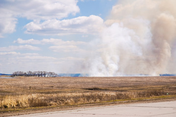 Naklejka na ściany i meble Burning the steppe during the spring drought. Grassroots Prairie fire. Burns dry grass