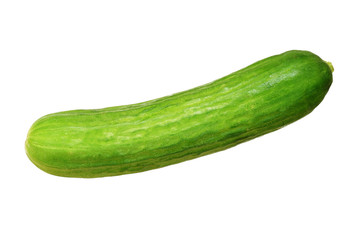 persian cucumber