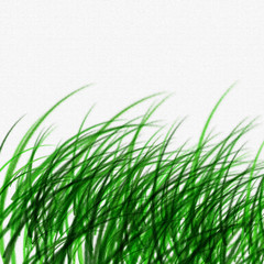 Fototapeta premium Grass texture