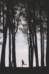 silhuette of the athlete nunning through the forest.