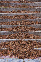 Escalera cubierta de hojas en otoño