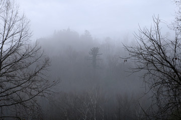 Fototapeta na wymiar cold foggy hill