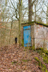 Small house in the middle of the forest