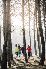 Obraz premium A group of athletes running in the forest.
