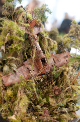 Wrak samolotu © Marcin Radło