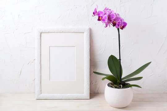 White frame mockup with purple orchid in flower pot