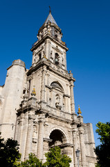 Fototapeta na wymiar Cathedral of San Salvador - Jerez de la Frontera - Spain